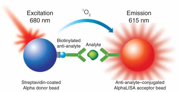 1656898626121018.png image.png