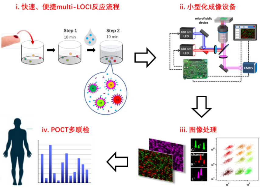 1656913754608426.png 6.png